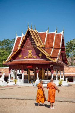 Tayland, Nan: 15 Kasım 2024 - Kuzey Tayland 'ın Nan şehrindeki Chae Haeng şehrinde Wat Phra' da Chedi.  