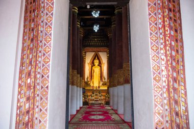 Tayland, Nan: 22 Kasım 2024 - Wat Suan Tan ve Chedi Kuzey Tayland 'da Nan şehrinde.  