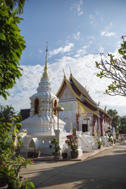 Tayland, Nan: 17 Kasım 2024 - Kuzey Tayland 'ın Nan ilindeki Wat Suan Hom' da Rood.  