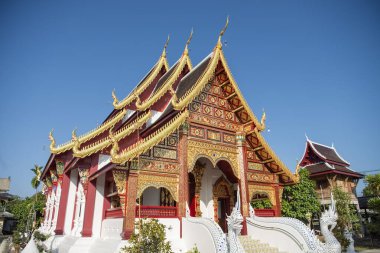 Tayland, Nan: 17 Kasım 2024 - Kuzey Tayland 'ın Nan ilindeki Wat Suan Hom' da Rood.  