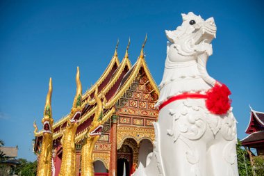 Tayland, Nan: 17 Kasım 2024 - Kuzey Tayland 'ın Nan ilindeki Wat Suan Hom' da Rood.  