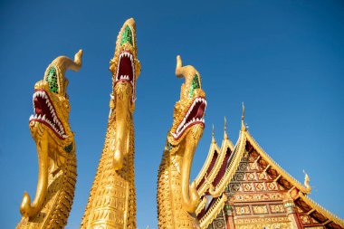 Tayland, Nan: 17 Kasım 2024 - Kuzey Tayland 'ın Nan ilindeki Wat Suan Hom' da Rood.  