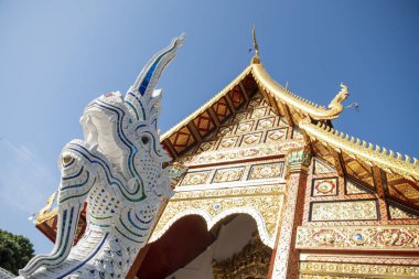 Tayland, Nan: 17 Kasım 2024 - Kuzey Tayland 'ın Nan ilindeki Wat Suan Hom' da Rood.  