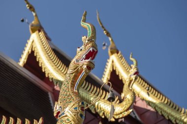Tayland, Nan: 17 Kasım 2024 - Kuzey Tayland 'ın Nan ilindeki Wat Suan Hom' da Rood.  