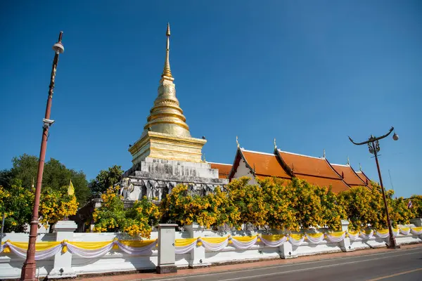 Tayland, Nan: 15 Kasım 2024 - Wat Phra Chang Kham Worawihan Kuzey Tayland 'da Nan şehrinde.  
