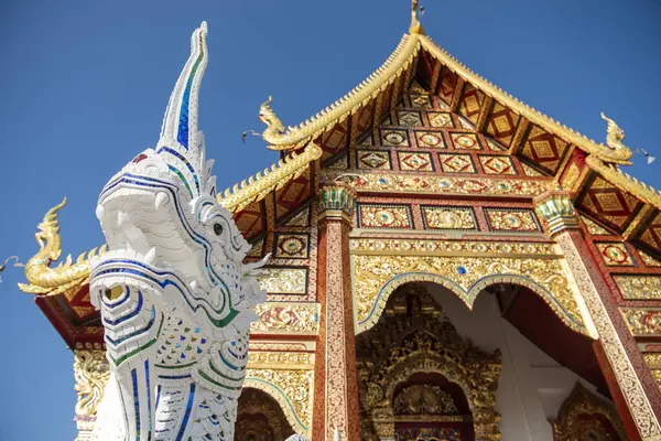 Tayland, Nan: 17 Kasım 2024 - Kuzey Tayland 'ın Nan ilindeki Wat Suan Hom' da Rood.  