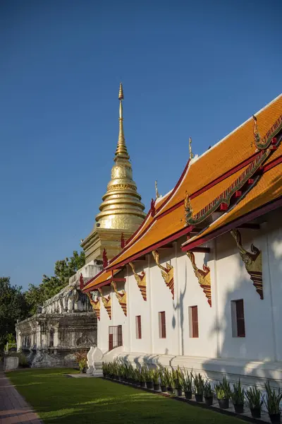 Tayland, Nan: 12 Kasım 2024 - Wat Phra Chang Kham Worawihan Kuzey Tayland 'da Nan şehrinde.  