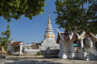 Tayland, Nan, Kasım, 15, 2024 - Nan şehrindeki Wat Ta Ioa, Kuzey Tayland.  