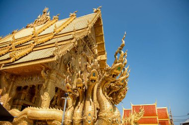 Tayland, Nan: 13 Kasım 2024 - Nan şehrinde Wat Sri Phan Ton, Kuzey Tayland.  