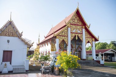 Tayland, Nan: 13 Kasım 2024 - Nan şehrindeki Wat Apai Kuzey Tayland.  