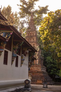 Tayland, Nan: 13 Kasım 2024 - Kuzey Tayland 'da Nan şehrindeki Wat Prayawat' ta İhtiyar Chedi.