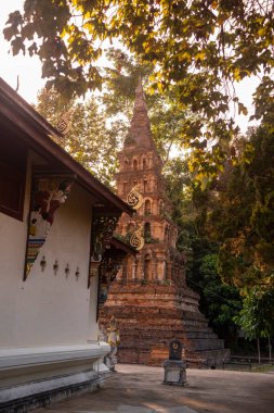 Tayland, Nan: 13 Kasım 2024 - Kuzey Tayland 'da Nan şehrindeki Wat Prayawat' ta İhtiyar Chedi.