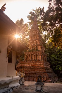 Tayland, Nan: 13 Kasım 2024 - Kuzey Tayland 'da Nan şehrindeki Wat Prayawat' ta İhtiyar Chedi.