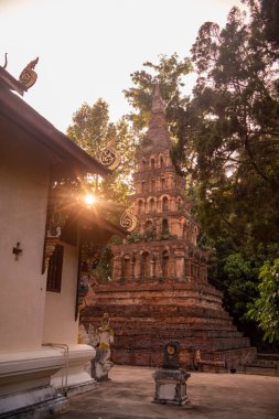 Tayland, Nan: 13 Kasım 2024 - Kuzey Tayland 'da Nan şehrindeki Wat Prayawat' ta İhtiyar Chedi.