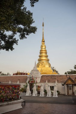 Tayland, Nan: 14 Kasım 2024 - Kuzey Tayland 'da Nan şehrindeki Chae Haeng şehrindeki Wat Phra' da Chedi.