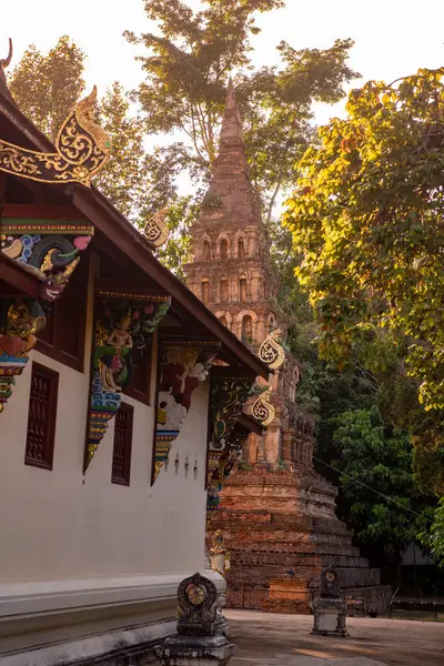 Tayland, Nan: 13 Kasım 2024 - Kuzey Tayland 'da Nan şehrindeki Wat Prayawat' ta İhtiyar Chedi.