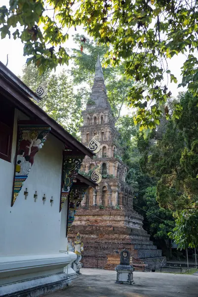 Tayland, Nan: 13 Kasım 2024 - Kuzey Tayland 'da Nan şehrindeki Wat Prayawat' ta İhtiyar Chedi.