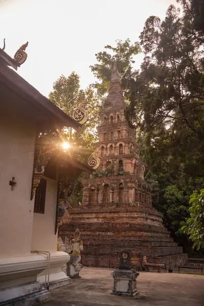 Tayland, Nan: 13 Kasım 2024 - Kuzey Tayland 'da Nan şehrindeki Wat Prayawat' ta İhtiyar Chedi.