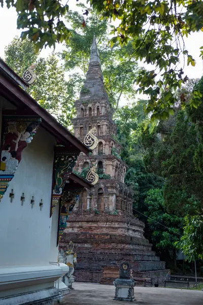 Tayland, Nan: 13 Kasım 2024 - Kuzey Tayland 'da Nan şehrindeki Wat Prayawat' ta İhtiyar Chedi.