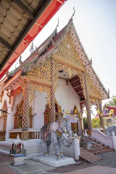 Tayland, Nan: 14 Kasım 2024 - Kuzey Tayland 'ın Nan ilindeki Wat Chang Phueak şehrinde fil alevleri.  