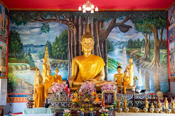 Tayland, Nan: 14 Kasım 2024 - Kuzey Tayland 'ın Nan ilindeki Wat Satharot şehrinde.  