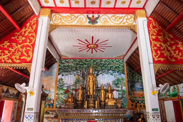 Tayland, Nan: 14 Kasım 2024 - Kuzey Tayland 'ın Nan ilindeki Wat Maha Pho şehrinde.  