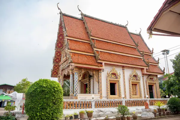 Tayland, Nan: 15 Kasım 2024 - Nan şehrinde Wat Tachang, Kuzey Tayland.  