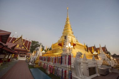 Tayland, Nan: 14 Kasım 2024 - Kuzey Tayland 'da Nan şehrindeki Chae Haeng şehrindeki Wat Phra' da Chedi.