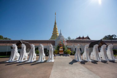 Tayland, Nan: 15 Kasım 2024 - Kuzey Tayland 'ın Nan şehrindeki Chae Haeng şehrinde Wat Phra' da Chedi.  