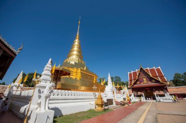 Tayland, Nan: 15 Kasım 2024 - Kuzey Tayland 'ın Nan şehrindeki Chae Haeng şehrinde Wat Phra' da Chedi.  