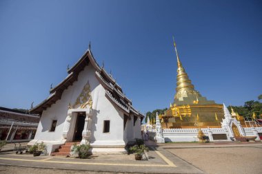 Tayland, Nan: 15 Kasım 2024 - Kuzey Tayland 'ın Nan şehrindeki Chae Haeng şehrinde Wat Phra' da Chedi.  