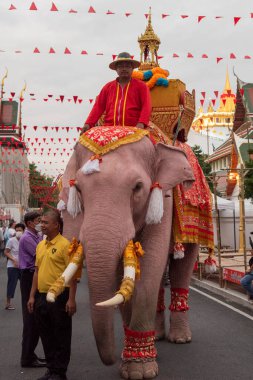 Tayland, Bangkok - 8 Kasım 2024: Tayland Filleri Tayland 'da Wat Saket Festivali Fuarının açılış töreninde.