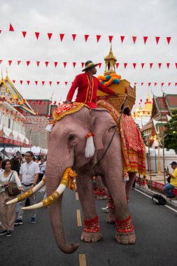 Tayland, Bangkok - 8 Kasım 2024: Tayland Filleri Tayland 'da Wat Saket Festivali Fuarının açılış töreninde.