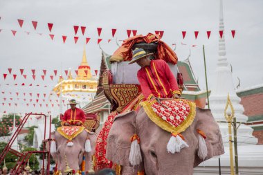 Tayland, Bangkok - 8 Kasım 2024: Tayland Filleri Tayland 'da Wat Saket Festivali Fuarının açılış töreninde.
