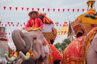Tayland, Bangkok - 8 Kasım 2024: Tayland Filleri Tayland 'da Wat Saket Festivali Fuarının açılış töreninde.