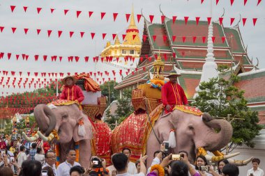 Tayland, Bangkok - 8 Kasım 2024: Tayland Filleri Tayland 'da Wat Saket Festivali Fuarının açılış töreninde.