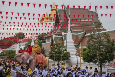 Tayland, Bangkok - 8 Kasım 2024: Tayland Filleri Tayland 'da Wat Saket Festivali Fuarının açılış töreninde.