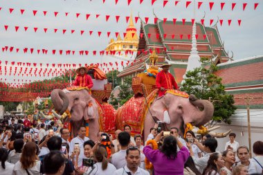 Tayland, Bangkok - 8 Kasım 2024: Tayland Filleri Tayland 'da Wat Saket Festivali Fuarının açılış töreninde.