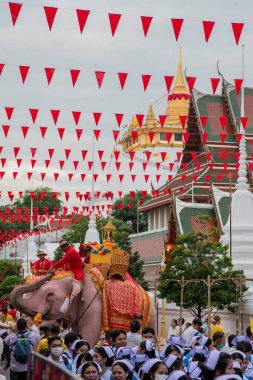 Tayland, Bangkok - 8 Kasım 2024: Tayland Filleri Tayland 'da Wat Saket Festivali Fuarının açılış töreninde.