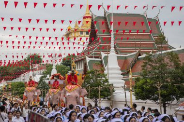 Tayland, Bangkok - 8 Kasım 2024: Tayland Filleri Tayland 'da Wat Saket Festivali Fuarının açılış töreninde.