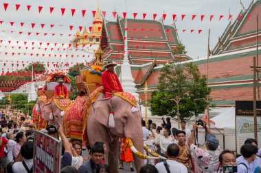 Tayland, Bangkok - 8 Kasım 2024: Tayland Filleri Tayland 'da Wat Saket Festivali Fuarının açılış töreninde.