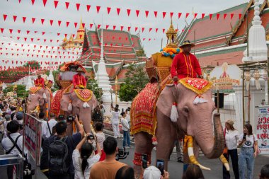 Tayland, Bangkok - 8 Kasım 2024: Tayland Filleri Tayland 'da Wat Saket Festivali Fuarının açılış töreninde.