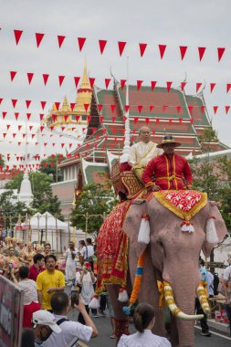 Tayland, Bangkok - 8 Kasım 2024: Tayland Filleri Tayland 'da Wat Saket Festivali Fuarının açılış töreninde.