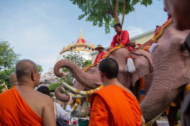Tayland, Bangkok - 8 Kasım 2024: Tayland Filleri Tayland 'da Wat Saket Festivali Fuarının açılış töreninde.