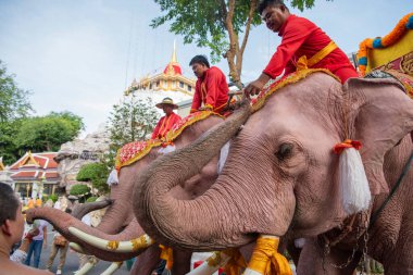 Tayland, Bangkok - 8 Kasım 2024: Tayland Filleri Tayland 'da Wat Saket Festivali Fuarının açılış töreninde.