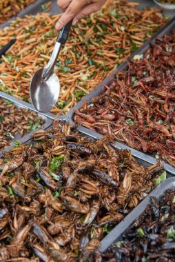 Bangkok, Tayland 'daki Wat Saket Festivali' ndeki Tayland Gıda Pazarı 'nda gevrek böcekler 8 Kasım 2024.