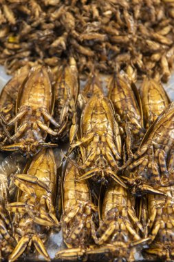 Bangkok, Tayland 'daki Wat Saket Festivali' ndeki Tayland Gıda Pazarı 'nda gevrek böcekler 8 Kasım 2024.