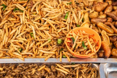 Bangkok, Tayland 'daki Wat Saket Festivali Fuarı' nda 8 Kasım 2024 'te gevrek böcek ve kurtçuklar..