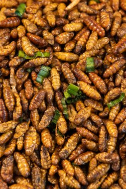 Bangkok, Tayland 'daki Wat Saket Festivali Fuarı' nda 8 Kasım 2024 'te gevrek böcek ve kurtçuklar..