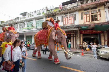 Tayland, Bangkok - 8 Kasım 2024: Tayland Filleri Tayland 'da Wat Saket Festivali Fuarının açılış töreninde.